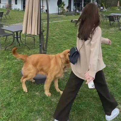 为了霍洛维茨